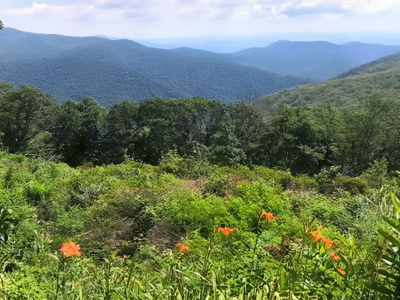 Thorofare Mountain Overlook